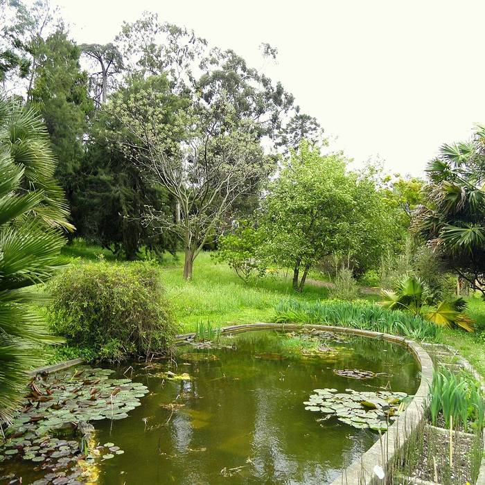 Photo de Villa Thuret à Antibes