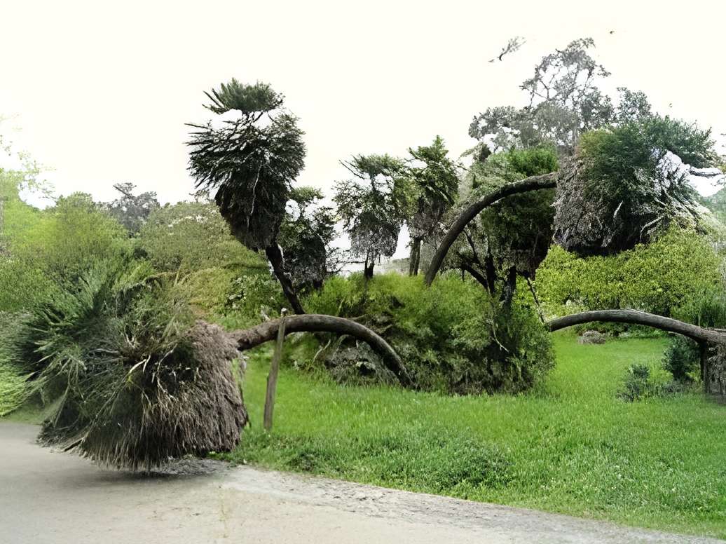 Villa Thuret à Antibes 