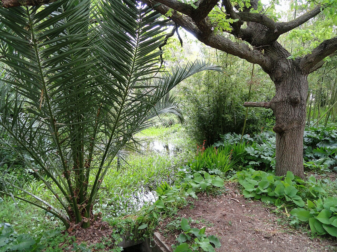 Villa Thuret à Antibes