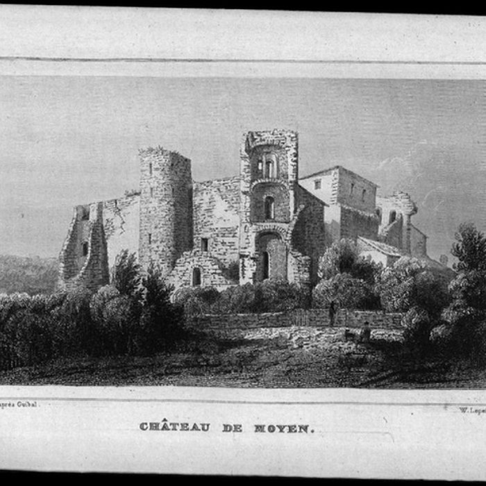 Photo de Château de Moyen 