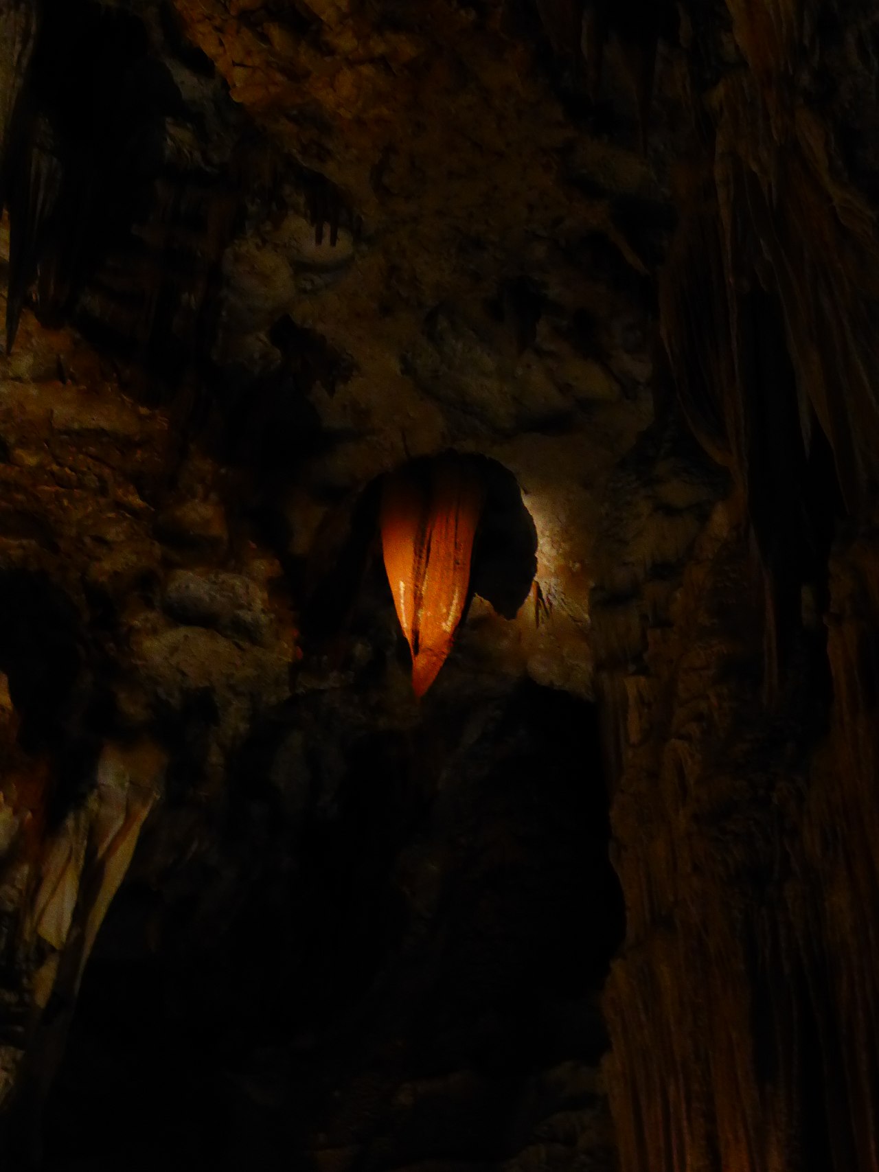 Grand Site de l'Aven d'Orgnac