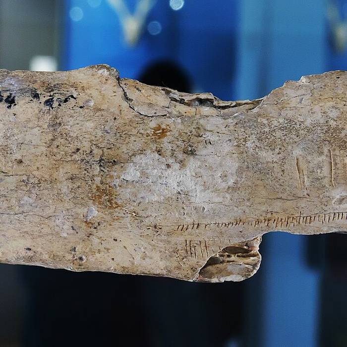 Photo de Visite de la Grotte Préhistorique de Thaïs