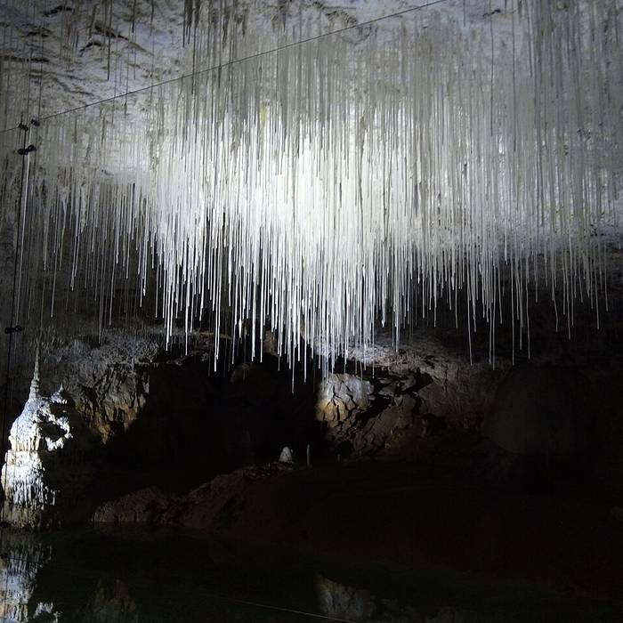 Photo de Visite des Grottes de Choranche
