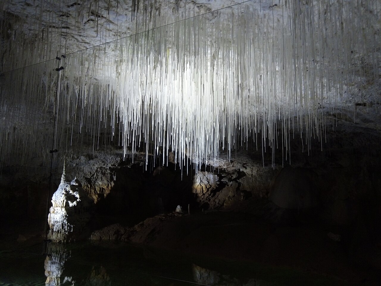 Visite des Grottes de Choranche