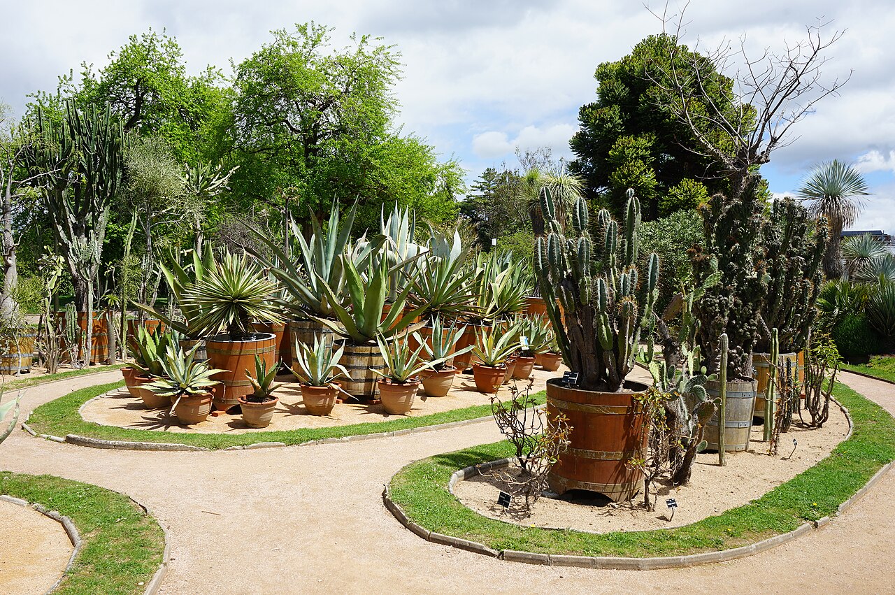 Jardin botanique de Lyon 