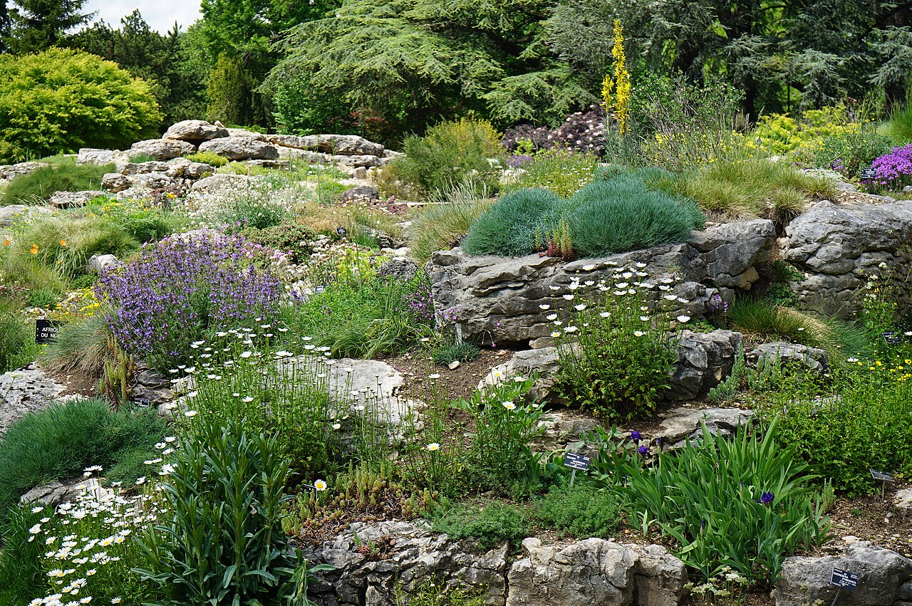 Jardin botanique de Lyon 