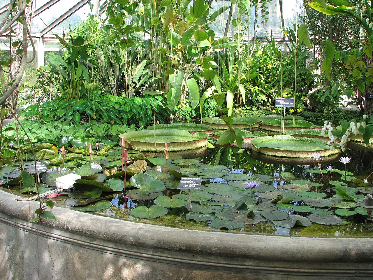Jardin botanique de Lyon 