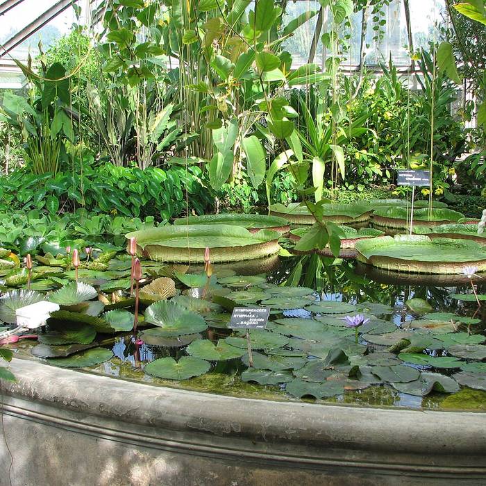 Photo de Jardin botanique de Lyon