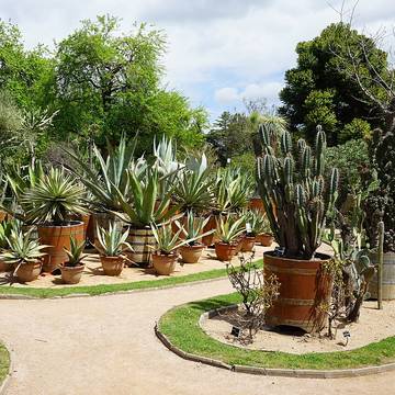 Jardin botanique de Lyon 