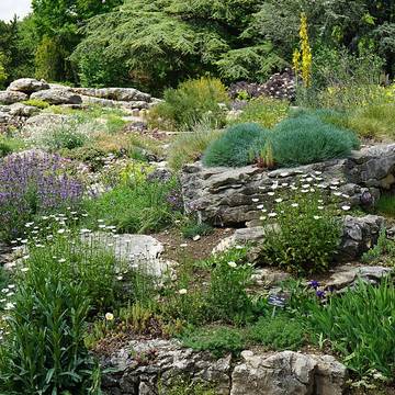 Jardin botanique de Lyon 