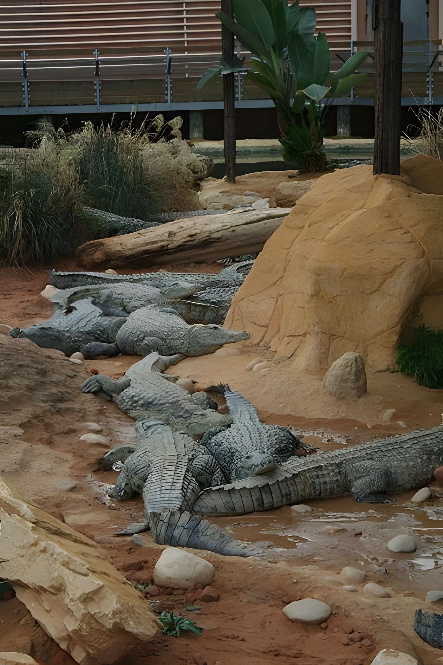 La Ferme Aux Crocodiles 