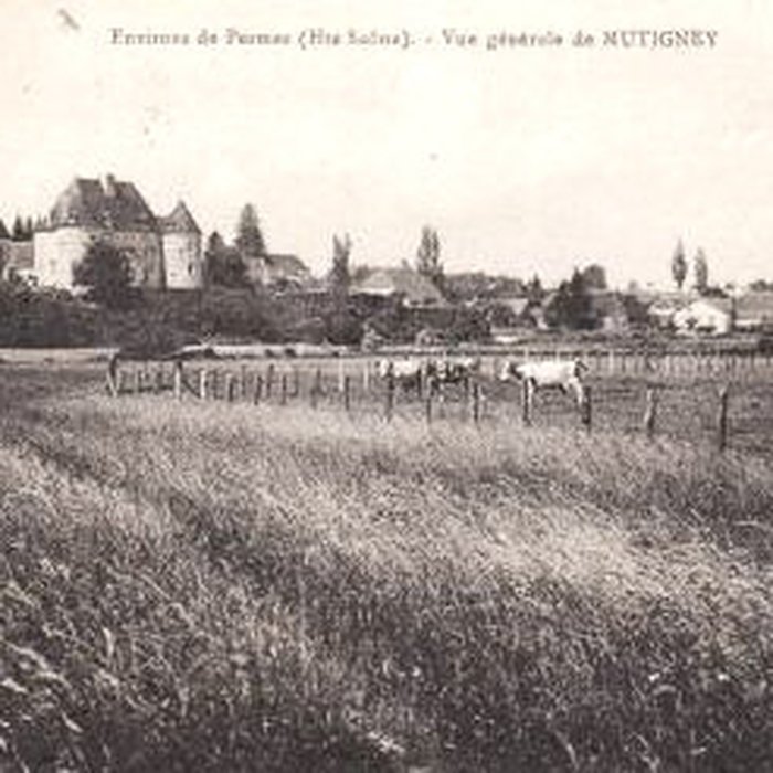 Photo de Château de Mutigney