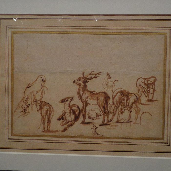 Photo de Cabinet des estampes et des dessins de Strasbourg