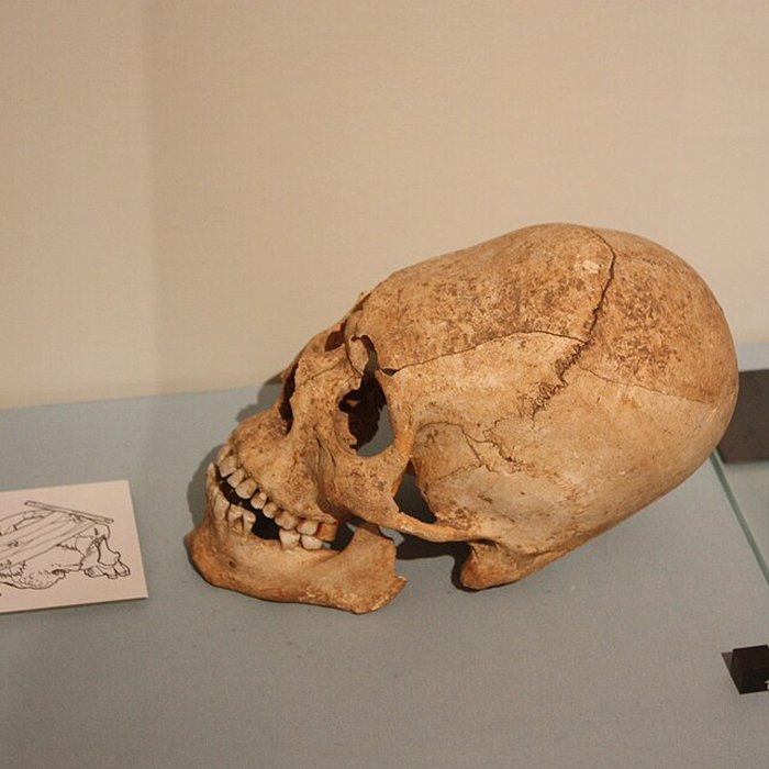 Photo de Musée archéologique de Strasbourg