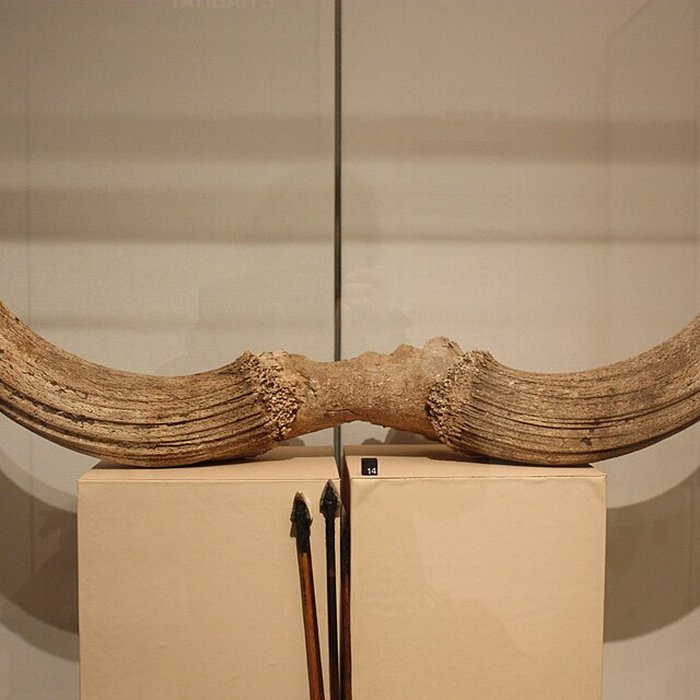 Photo de Musée archéologique de Strasbourg