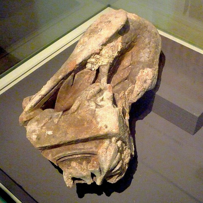 Photo de Musée archéologique de Strasbourg