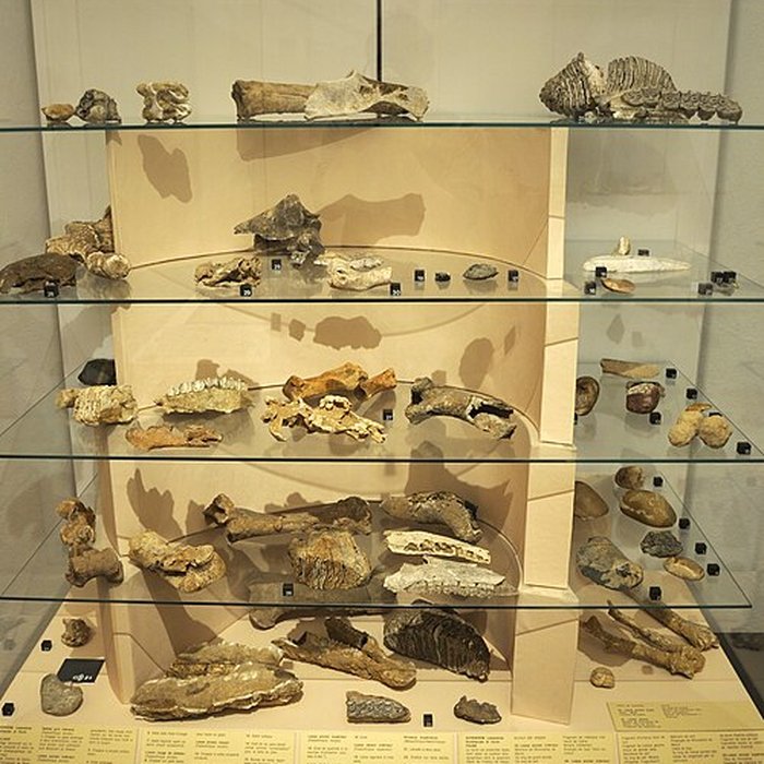 Photo de Musée archéologique de Strasbourg