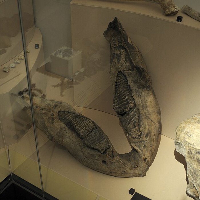 Photo de Musée archéologique de Strasbourg