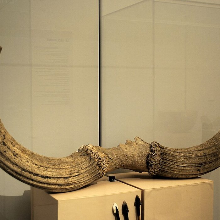 Photo de Musée archéologique de Strasbourg