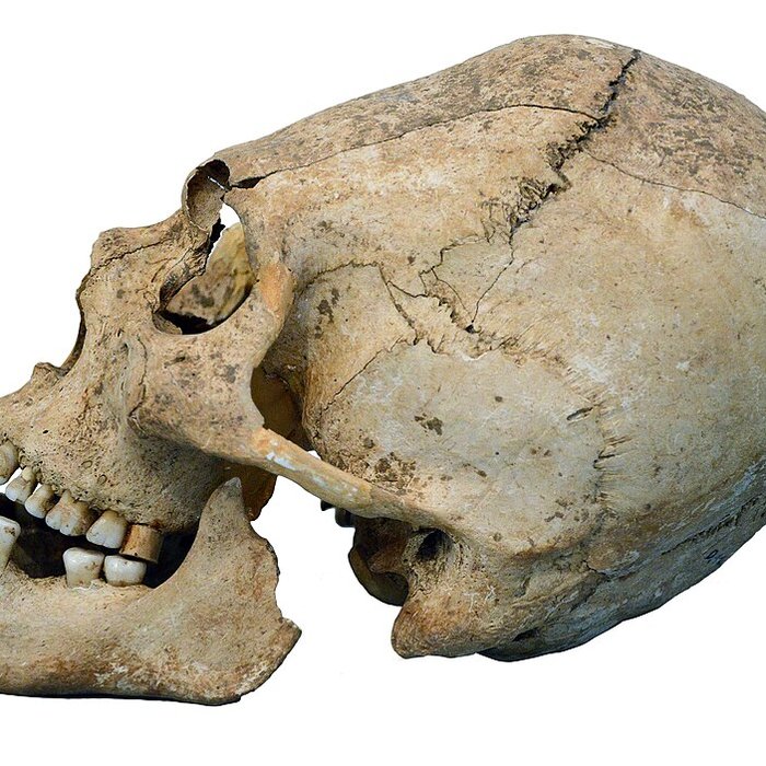 Photo de Musée archéologique de Strasbourg