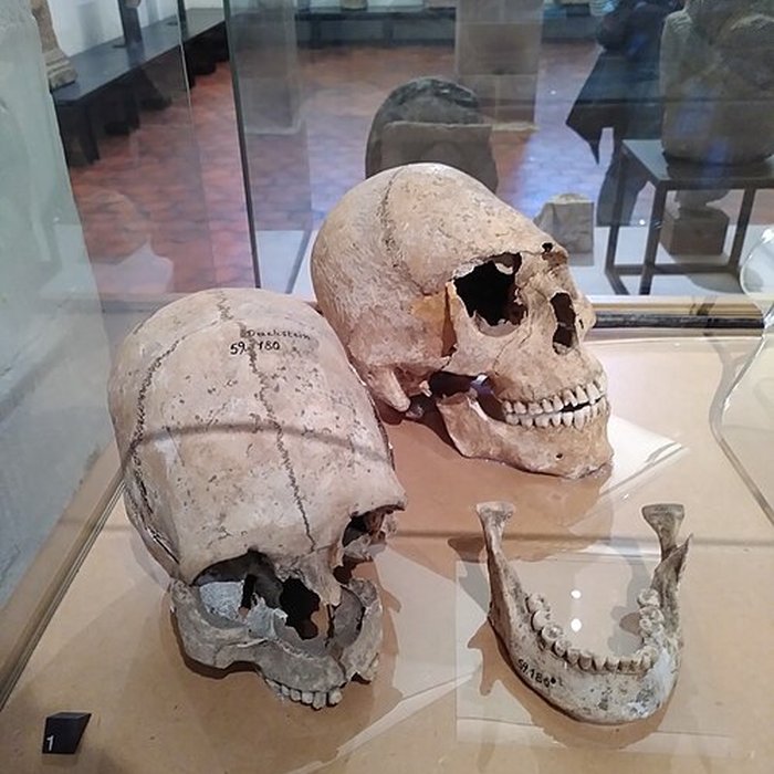 Photo de Musée archéologique de Strasbourg