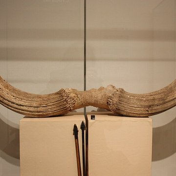 Musée archéologique de Strasbourg