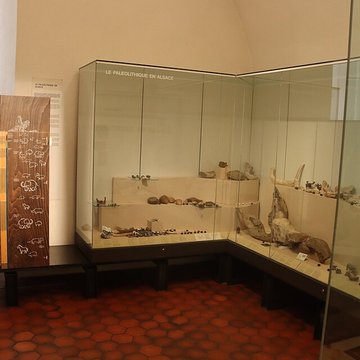 Musée archéologique de Strasbourg