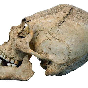 Musée archéologique de Strasbourg