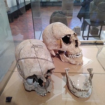 Musée archéologique de Strasbourg