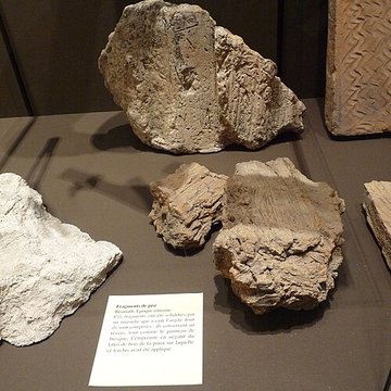 Musée archéologique de Strasbourg