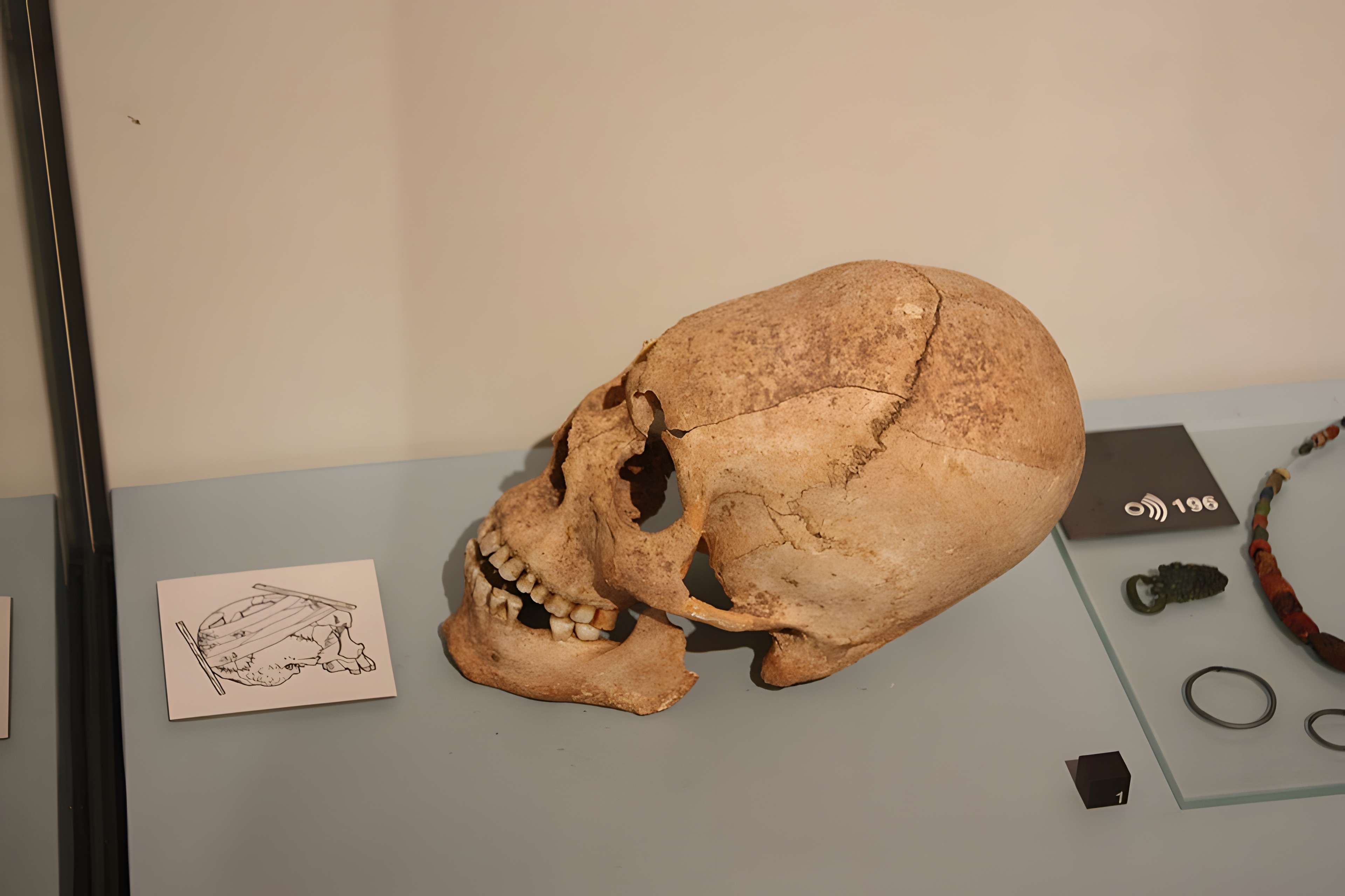 Musée archéologique de Strasbourg