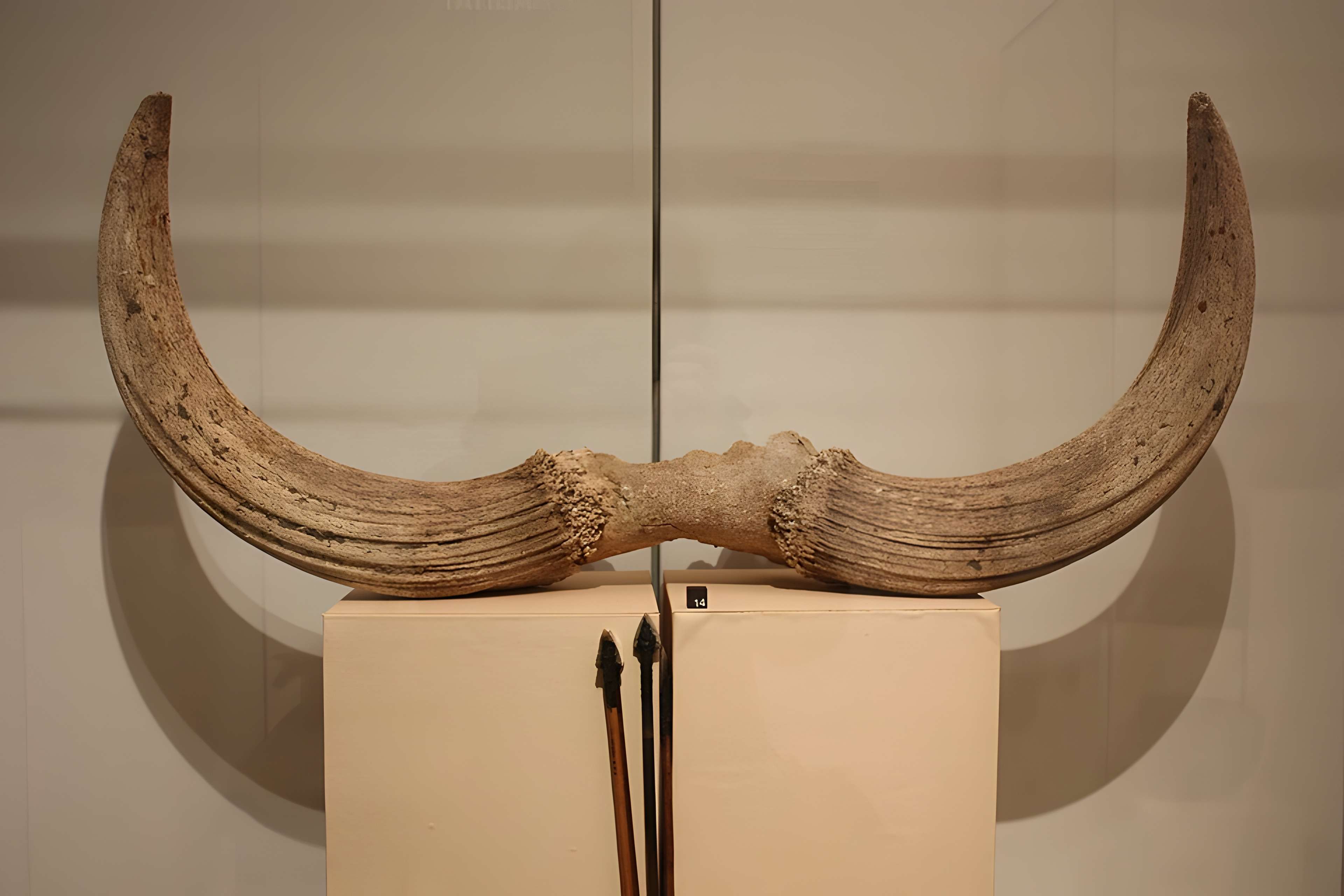 Musée archéologique de Strasbourg