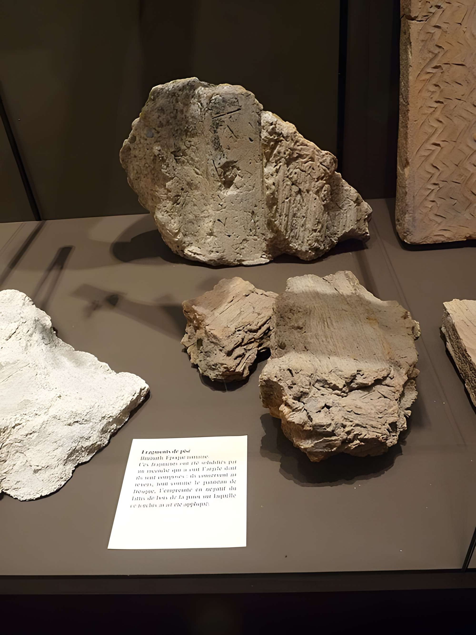 Musée archéologique de Strasbourg