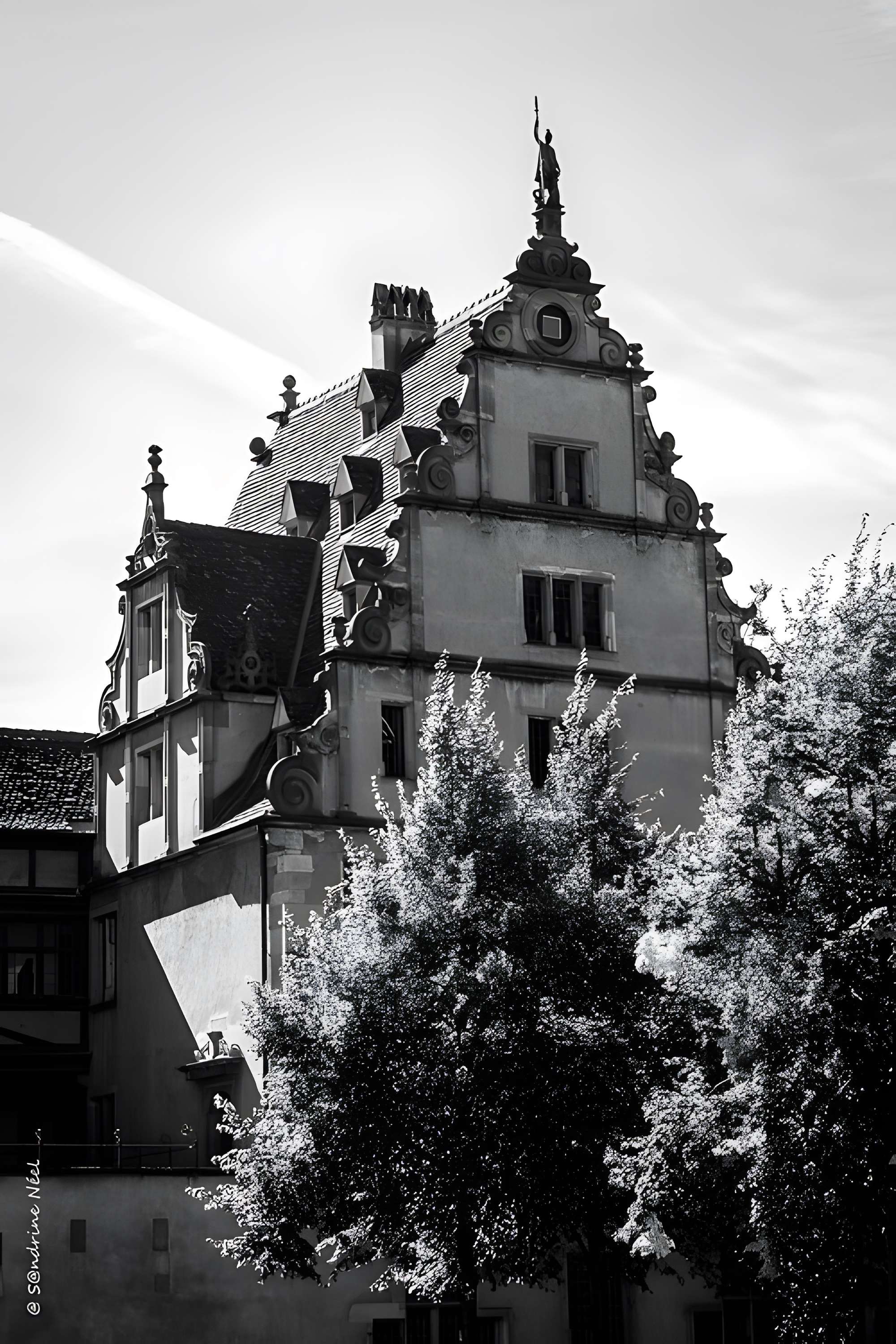 Musée de l'oeuvre Notre-Dame à Strasbourg