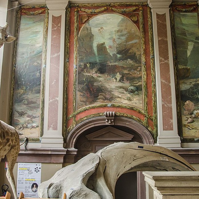 Photo de Musée zoologique de la ville de Strasbourg