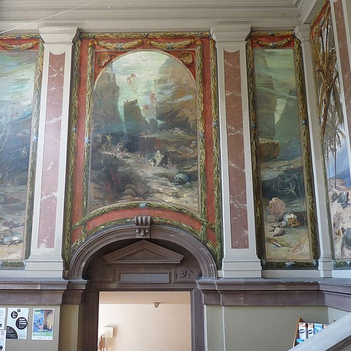 Photo de Musée zoologique de la ville de Strasbourg