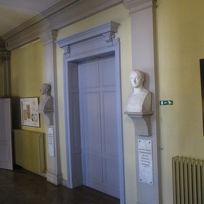 Photo de Musée zoologique de la ville de Strasbourg