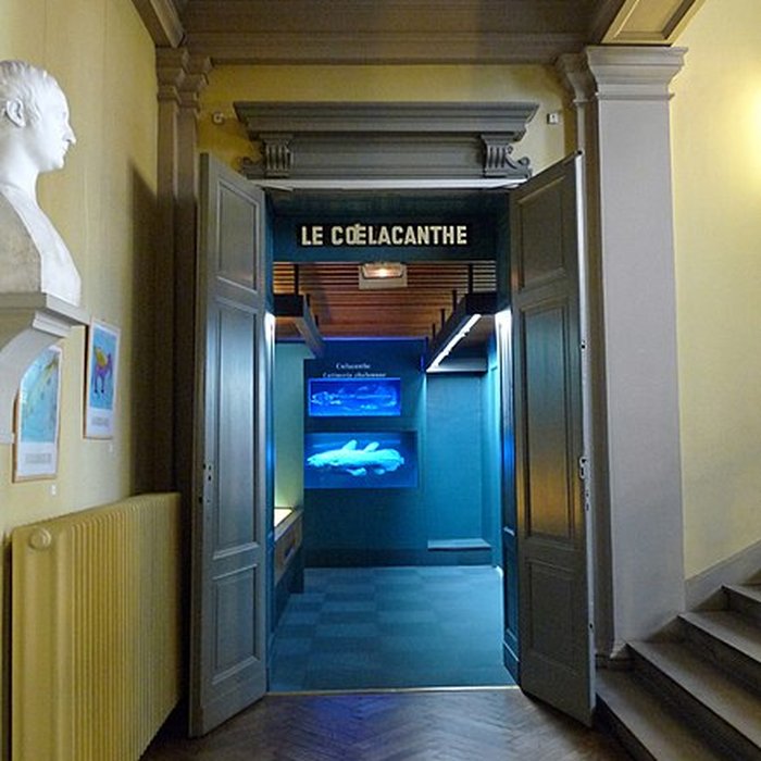 Photo de Musée zoologique de la ville de Strasbourg