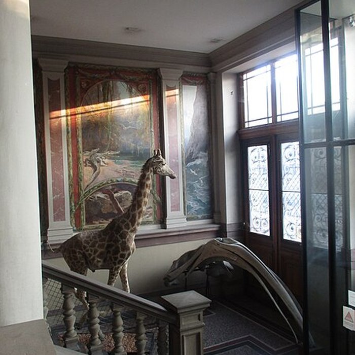 Photo de Musée zoologique de la ville de Strasbourg
