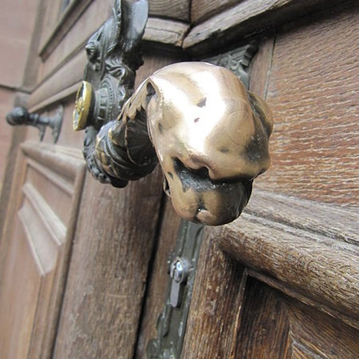 Photo de Musée zoologique de la ville de Strasbourg