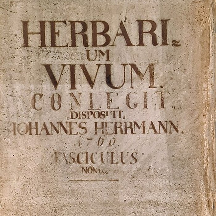 Photo de Musée zoologique de la ville de Strasbourg