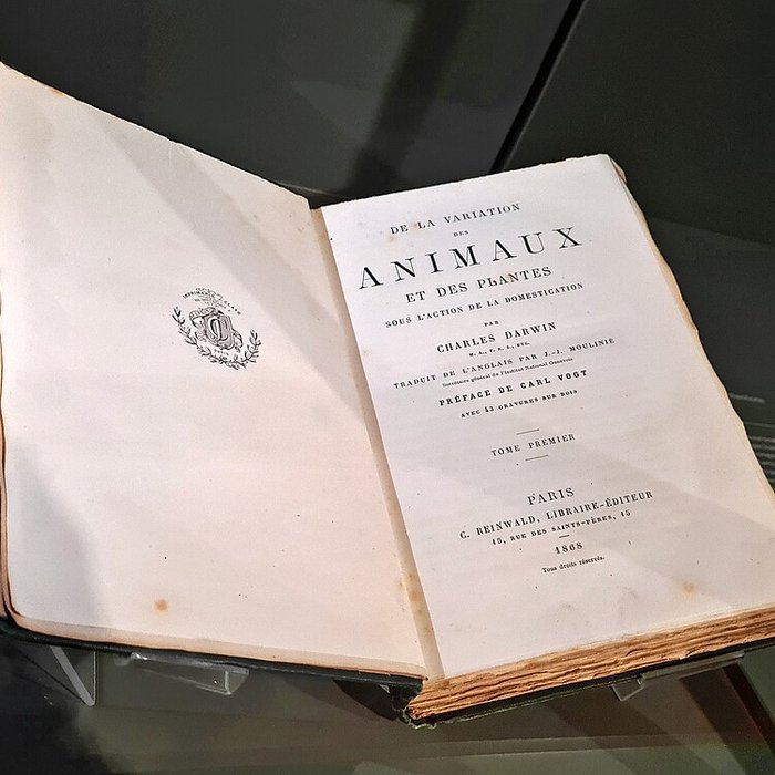 Photo de Musée zoologique de la ville de Strasbourg