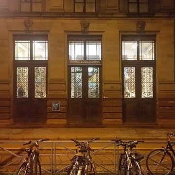 Musée zoologique de la ville de Strasbourg