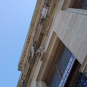 Musée zoologique de la ville de Strasbourg