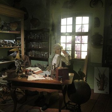 Musée zoologique de la ville de Strasbourg