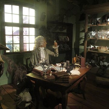 Musée zoologique de la ville de Strasbourg