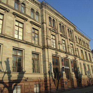 Musée zoologique de la ville de Strasbourg