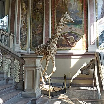 Musée zoologique de la ville de Strasbourg