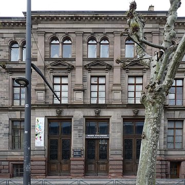 Musée zoologique de la ville de Strasbourg