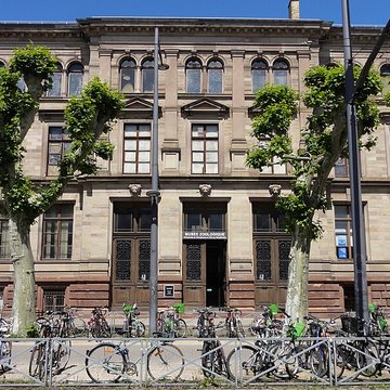 Musée zoologique de la ville de Strasbourg